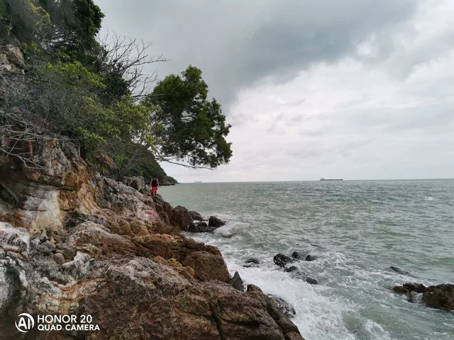 Tanjung Tuan Recreational Forest