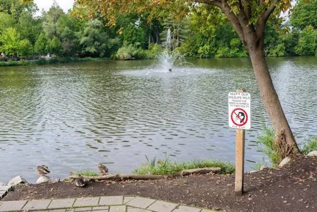 Mill Pond Park