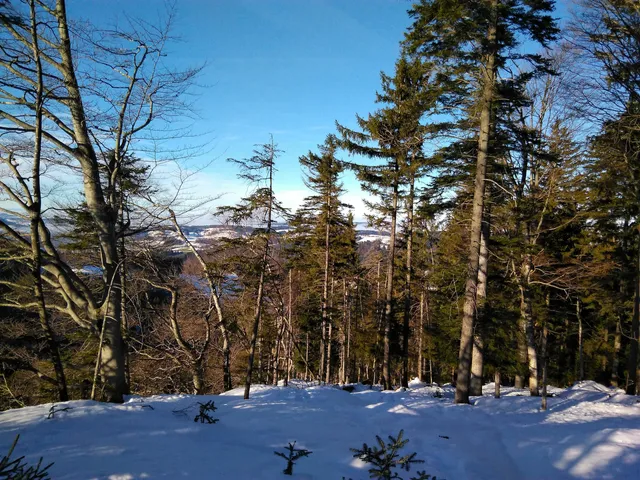 photo-1
