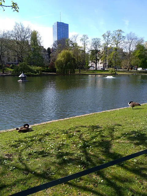 Étangs d'Ixelles