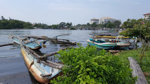 Negombo Lagoon