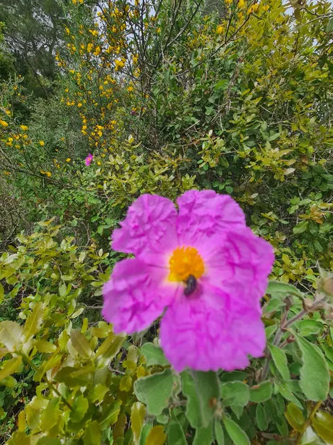 photo-2