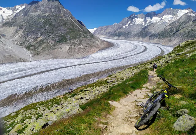 Jungfrau-Aletsch-Bietschhorn