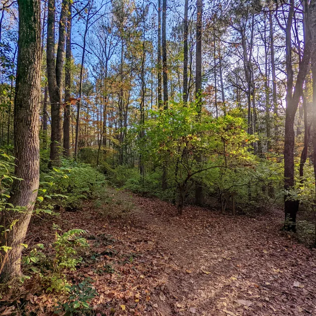 Elwyn John Wildlife Sanctuary