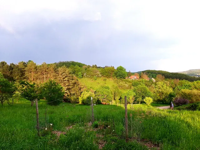 Forestry Botanical Garden and Arboretum