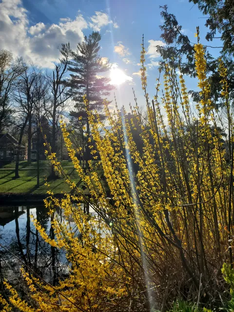 Sydenham Bruce Trail Club