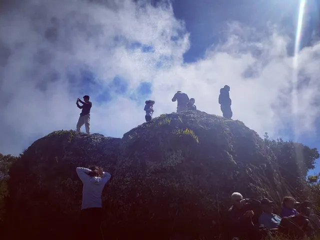 photo-1