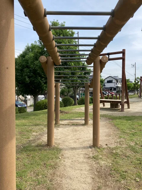 photo-1