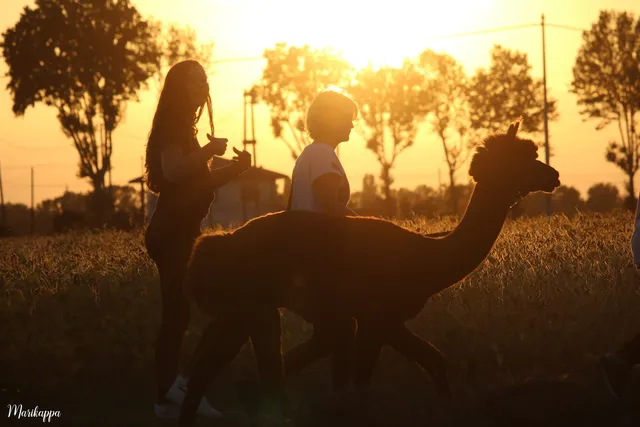 Lama Trekking Rovigo - Corte Benetti