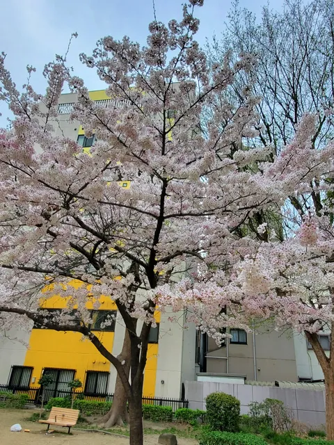 Shimmachi-nishi Park