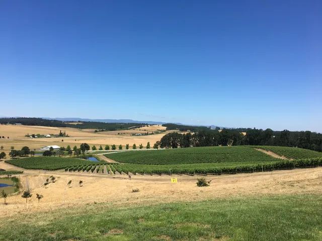 Van Duzer Vineyards