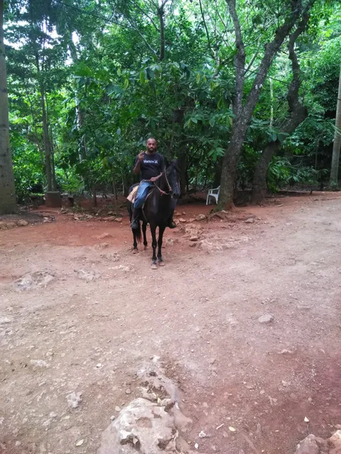 FEDUJAZZ - Fundacion Educativa Dominican Republic Jazz Festival