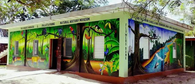 Community Baboon Sanctuary Visitor Center and Museum (A Black Howler Monkey Sanctuary)