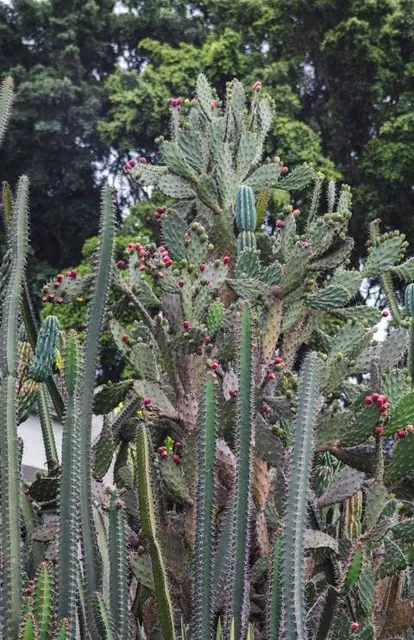 Museo de la Uva y el Vino