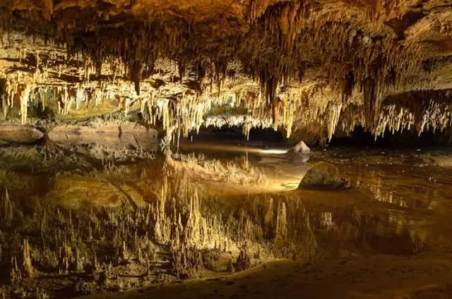 Luray Caverns
