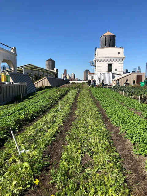 Brooklyn Grange @ Brooklyn Navy Yard