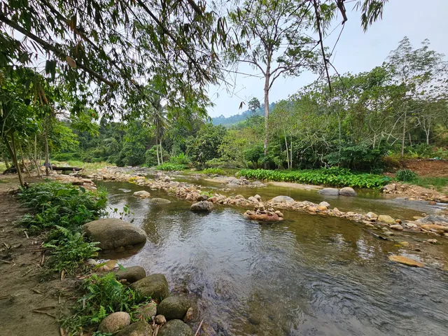 สวนตาสิงห์ โฮมสเตย์ แคมป์ปิ้ง