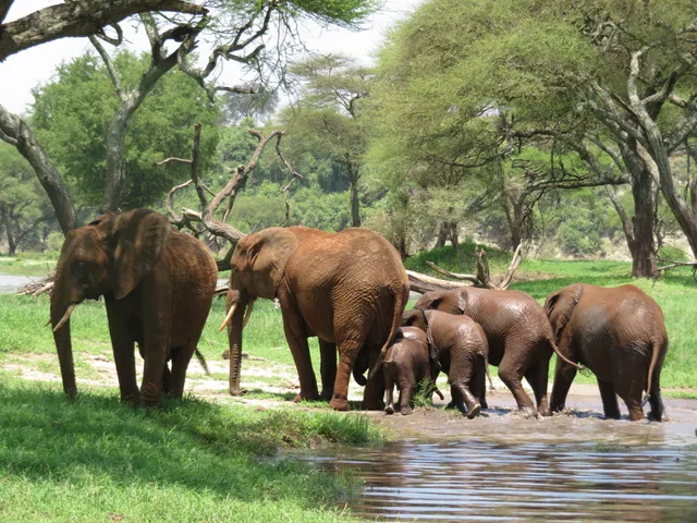 Tanzania Escapade company ltd.