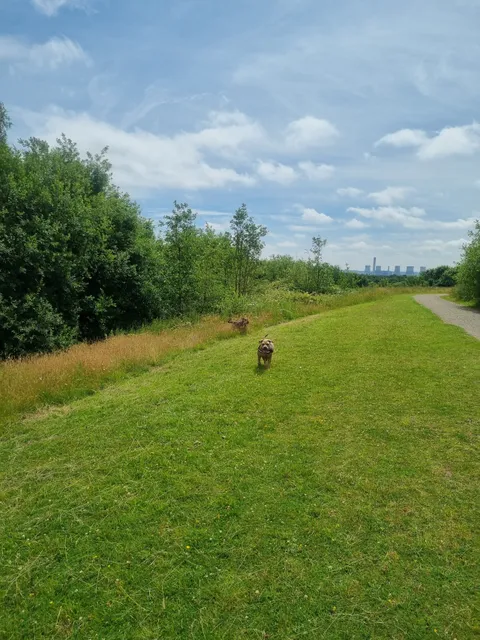 Clock Face Country Park