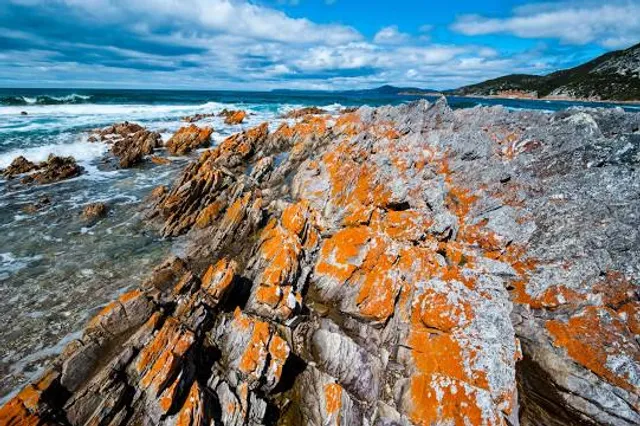 Rocky Cape National Park