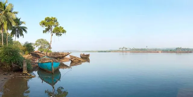 Kadamakudy Lake View Point