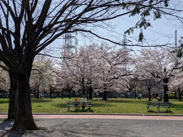 Hitotsuya Daiichi Park