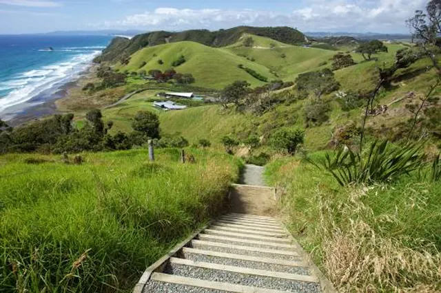 Mangawhai Cliff Walk
