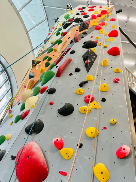 Climb Central Novena