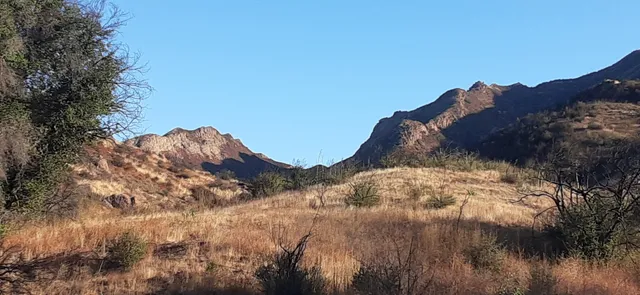 Las Vírgenes View Trail