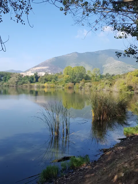 Falciano del Massico