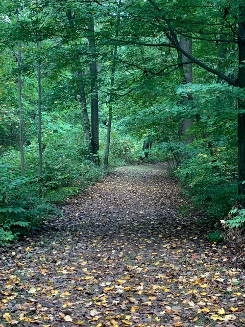 Turtle Creek Preserve