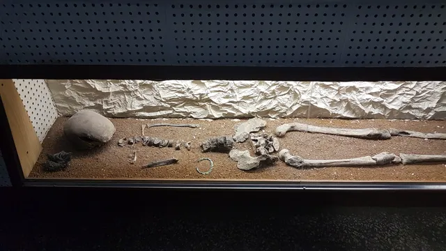 Noginsk Museum and Exhibition Center