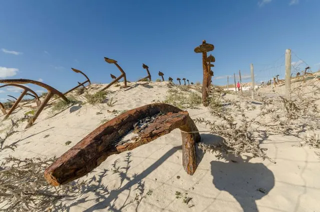 Tuna Fishing Museum Center