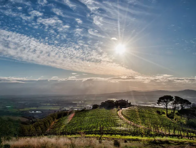 Uva Mira Mountain Vineyards
