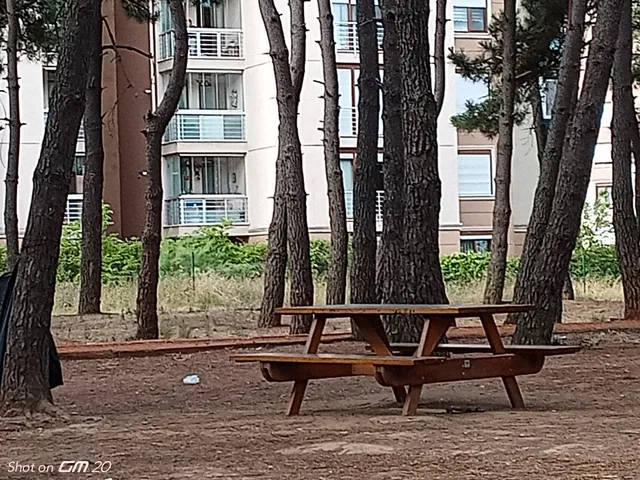 Cemal Güngör Parkı