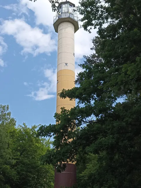 Wieża widokowa w Orzechowie