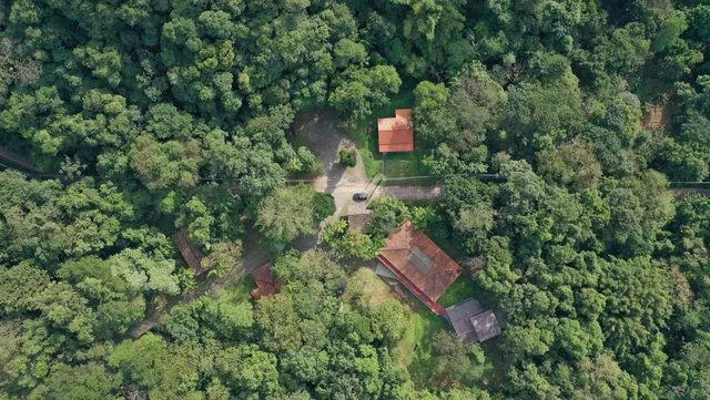 Headquarters State Park Serra do Mar - Core Itutinga Drumsticks