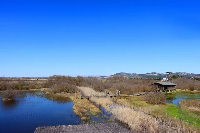 Nature Park Vrana Lake - ornithological reserve