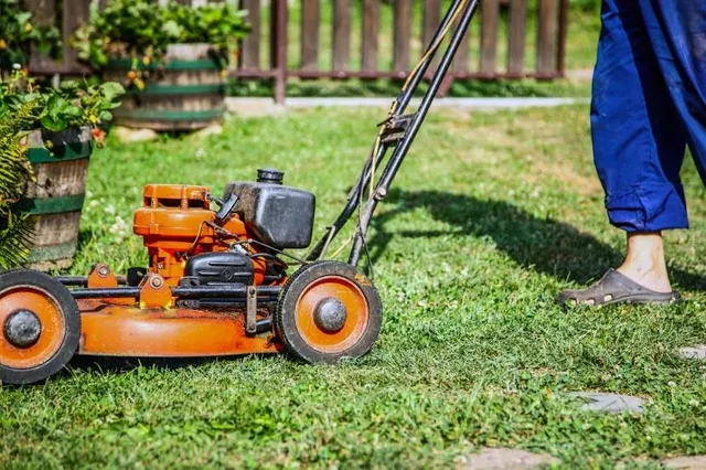 Reynolds Nature Preserve