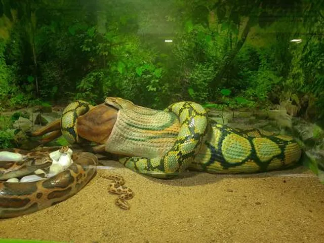 Chennai Snake Park
