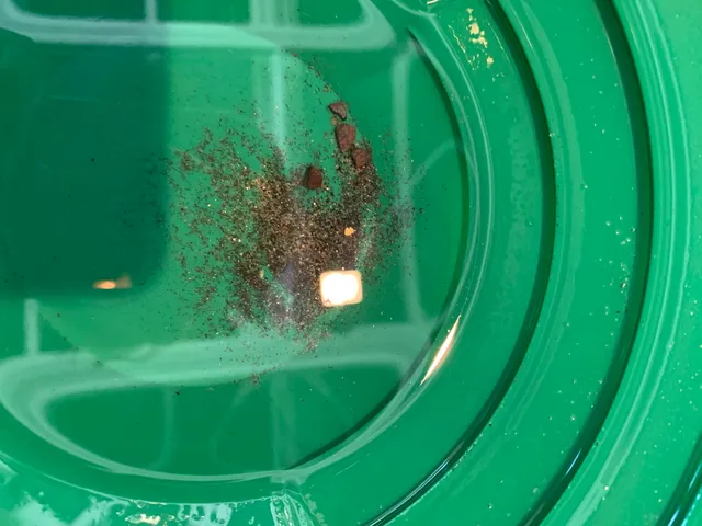 Sado nishimikawa gold park