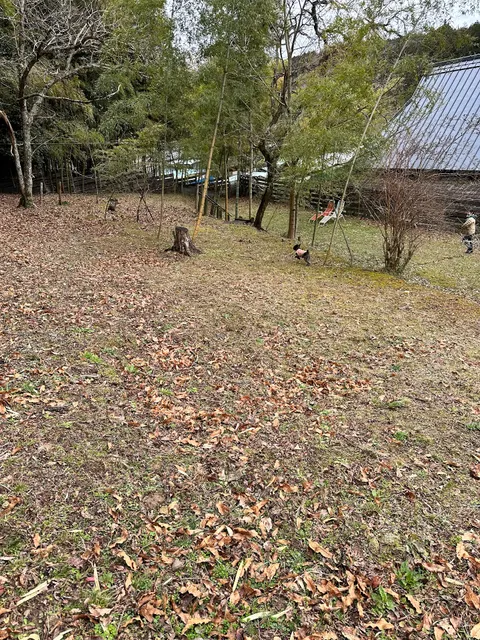 photo-1