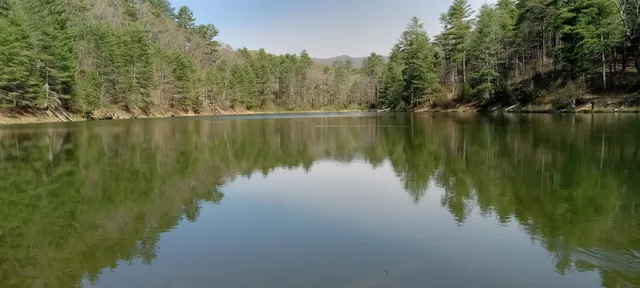 Braley Pond Day Use Area
