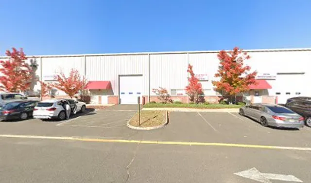 Bright Zebra Art Studio