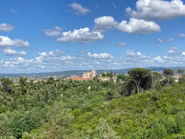 Baloiço Panorâmico da Mata Nacional dos 7 Montes