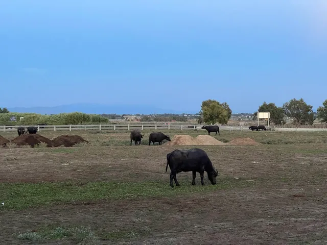 Spiaggia Libera Ischitella