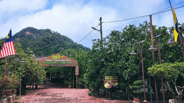 Tambun Pomelo GoChin Agro Farm
