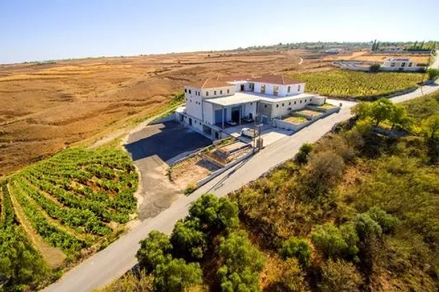 Vasilikon Winery Cyprus