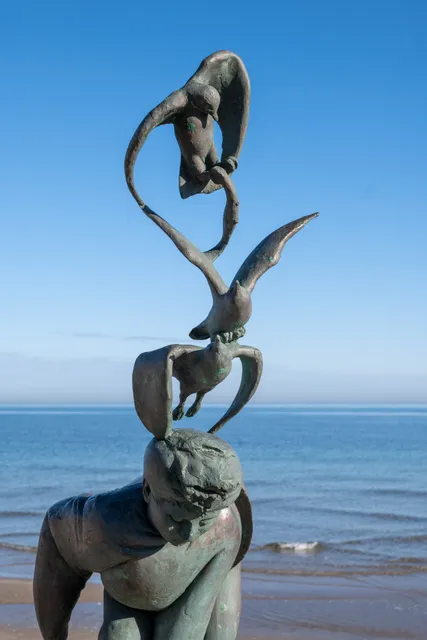 Ragazzo coi gabbiani