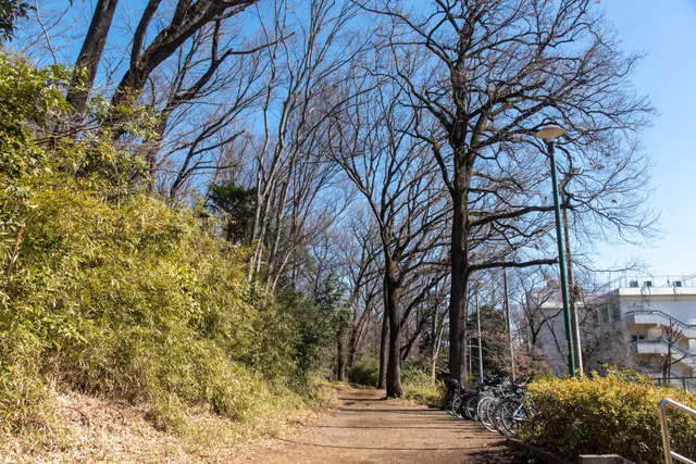 Musashidai Park